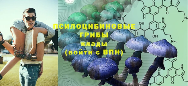 герыч Вязьма