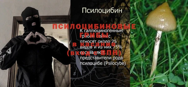 герыч Вязьма