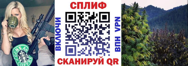 Шишки марихуана Bruce Banner  blacksprut сайт  Улан-Удэ 